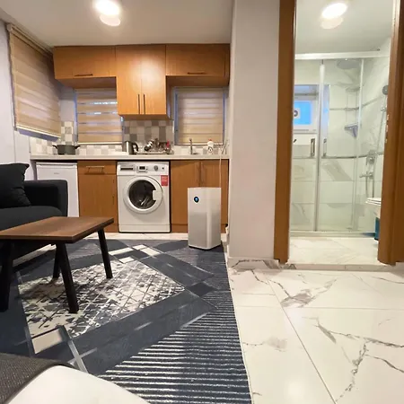 Апартаменты Charming With Fast Wifi And Ac Near Nisantasi And Taksim #101 *